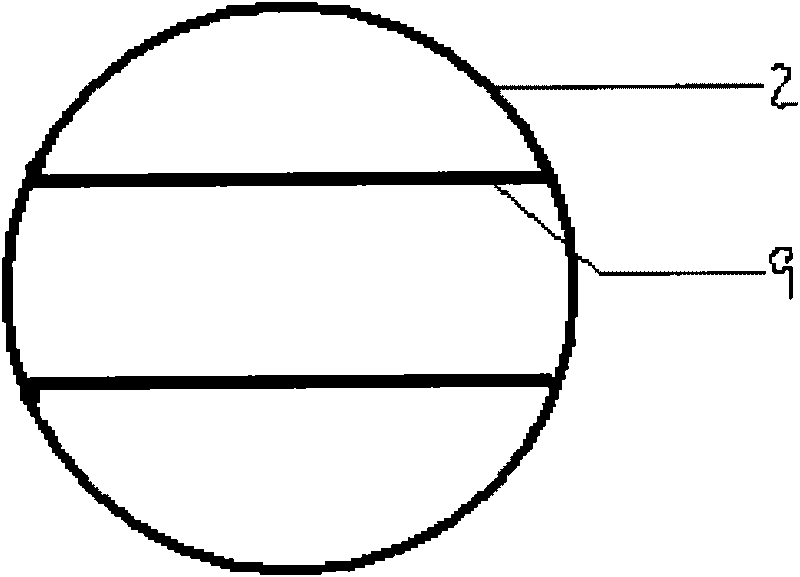 Direct contact type cell co-culture device