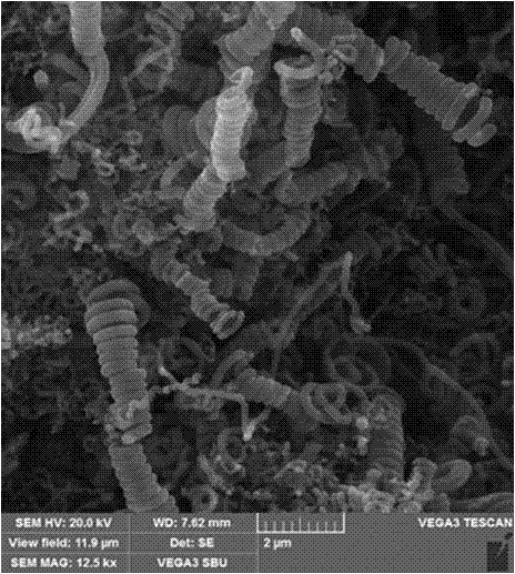 Preparation method and application of dna double helical carbon nanofiber and preparation method of lithium ion battery negative electrode material