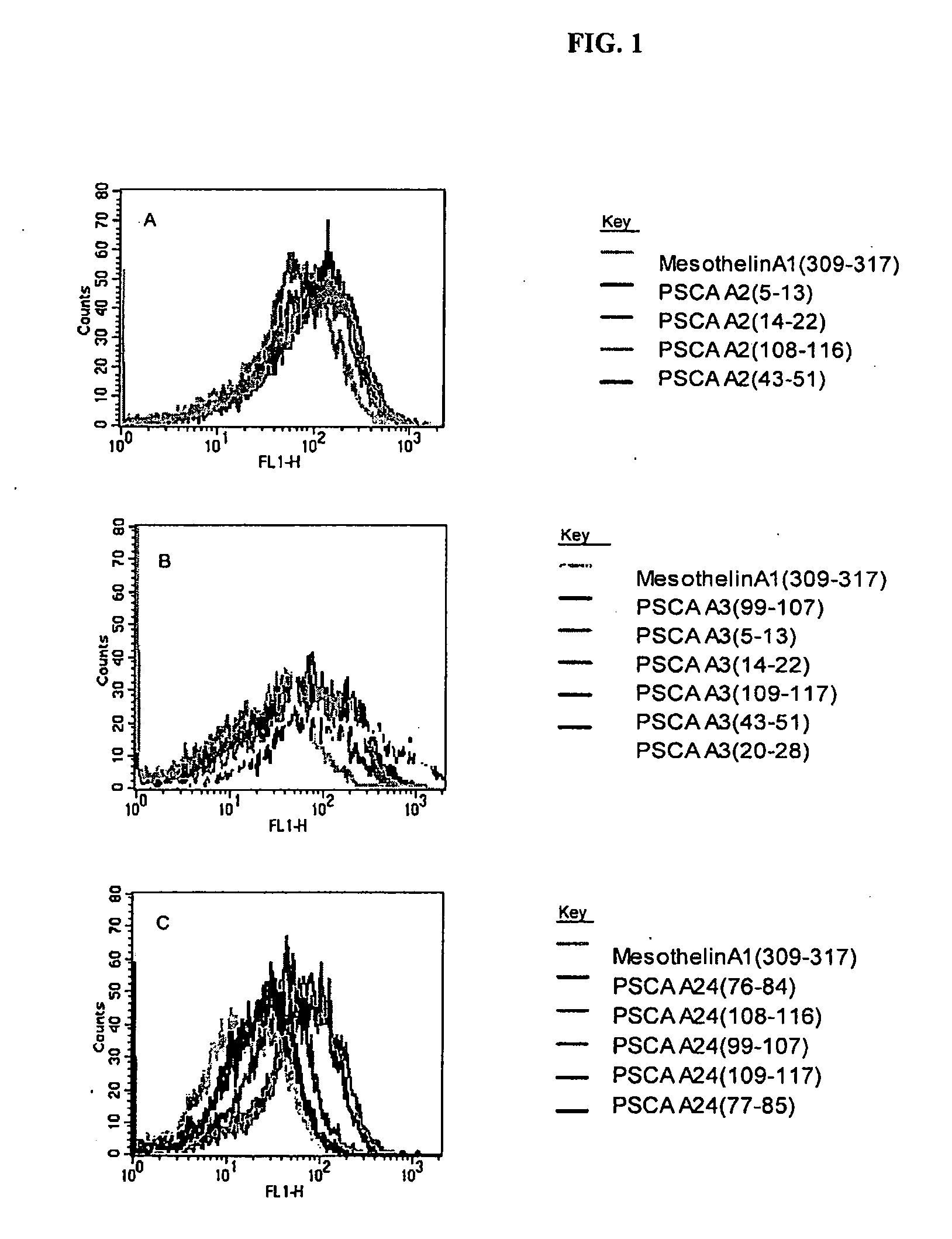 Prostate stem cell antigen vaccines and uses thereof