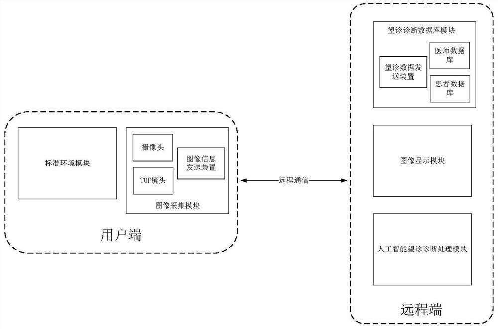 Standardized traditional Chinese medicine observation diagnosis system