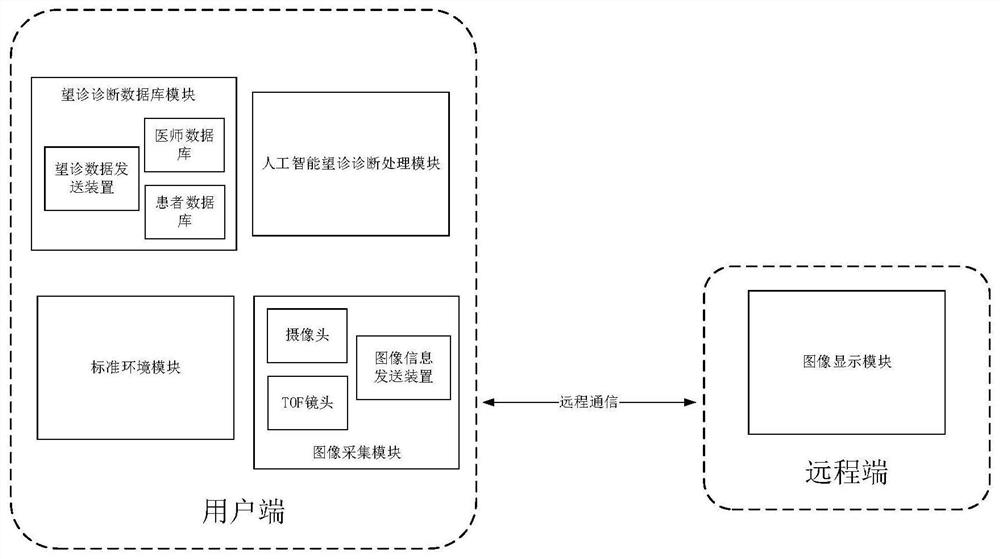 Standardized traditional Chinese medicine observation diagnosis system