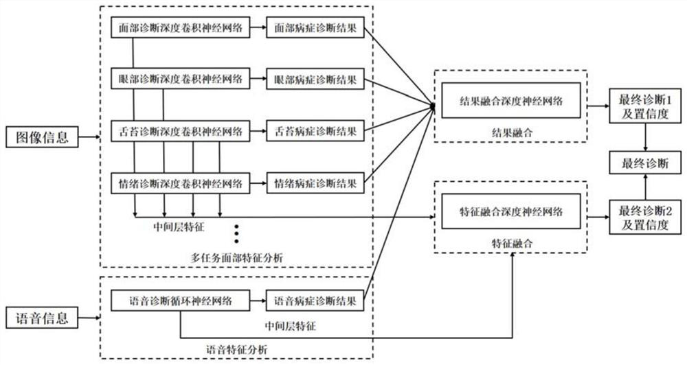 Standardized traditional Chinese medicine observation diagnosis system