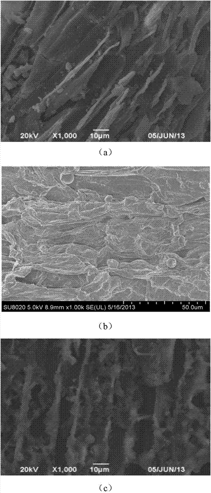 A method for synergistically extracting total flavonoids from Scutellaria baicalensis with graphene oxide and ethanol