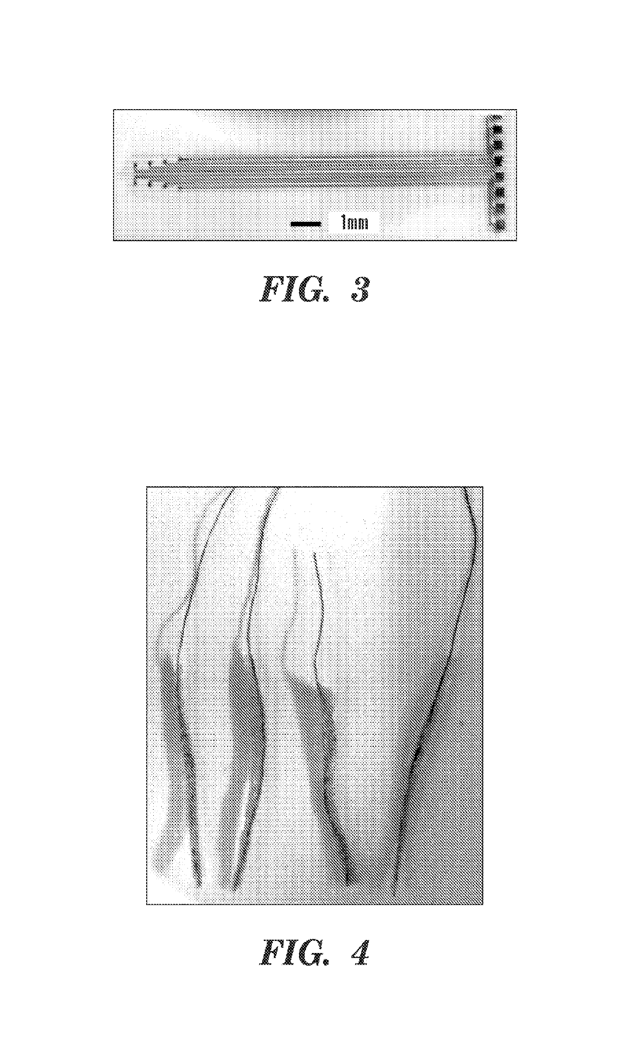 Dynamic silk coatings for implantable devices