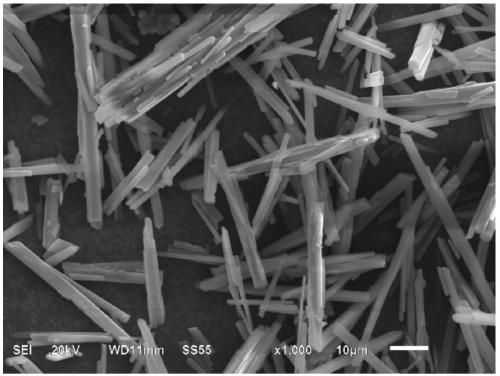 Method of synthesizing calcium sulfate whiskers in one step by means of sintering flue gas desulfurization ash