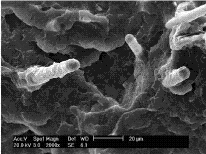 Preparation method of waste plastic composite material modified by waste circuit board non-metal powder