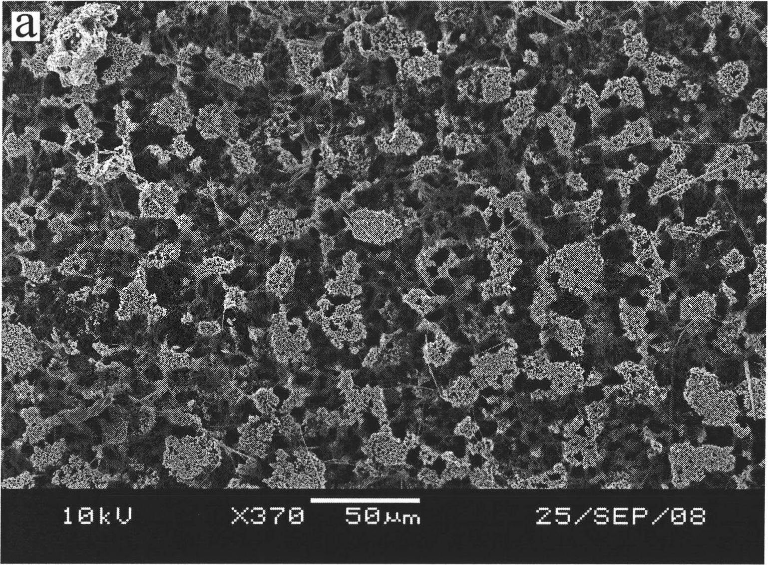 Nickel protoxide / silicon nano-wire and use thereof for preparing integrated super capacitor electrode material