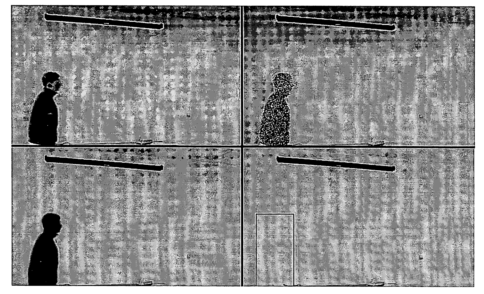 Apparatus and method for privacy protection of data collection in pervasive environments