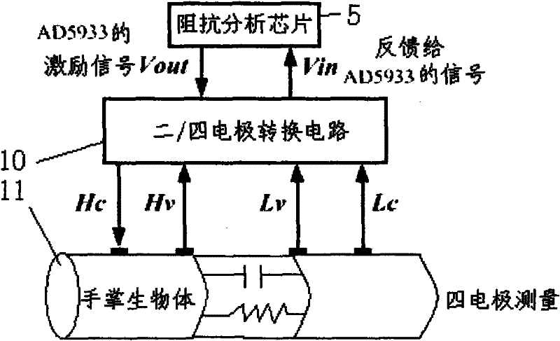 Palm bioelectrical impedance spectrum measuring device for biological characteristic recognition