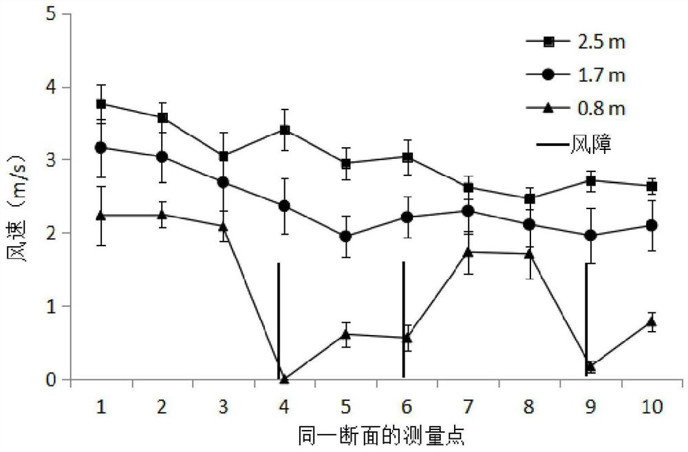 A method for rapid forestation in frontier areas of vegetation restoration on windward slopes of islands