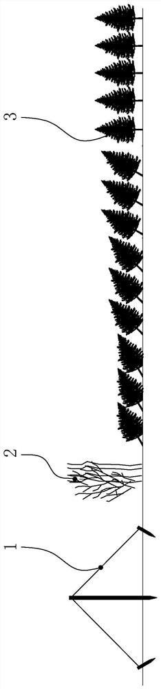 A method for rapid forestation in frontier areas of vegetation restoration on windward slopes of islands