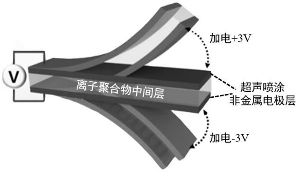 Flexible electric actuator based on sprayed non-metal electrode and preparation method thereof