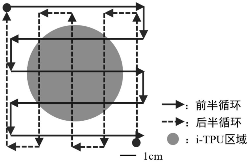 Flexible electric actuator based on sprayed non-metal electrode and preparation method thereof