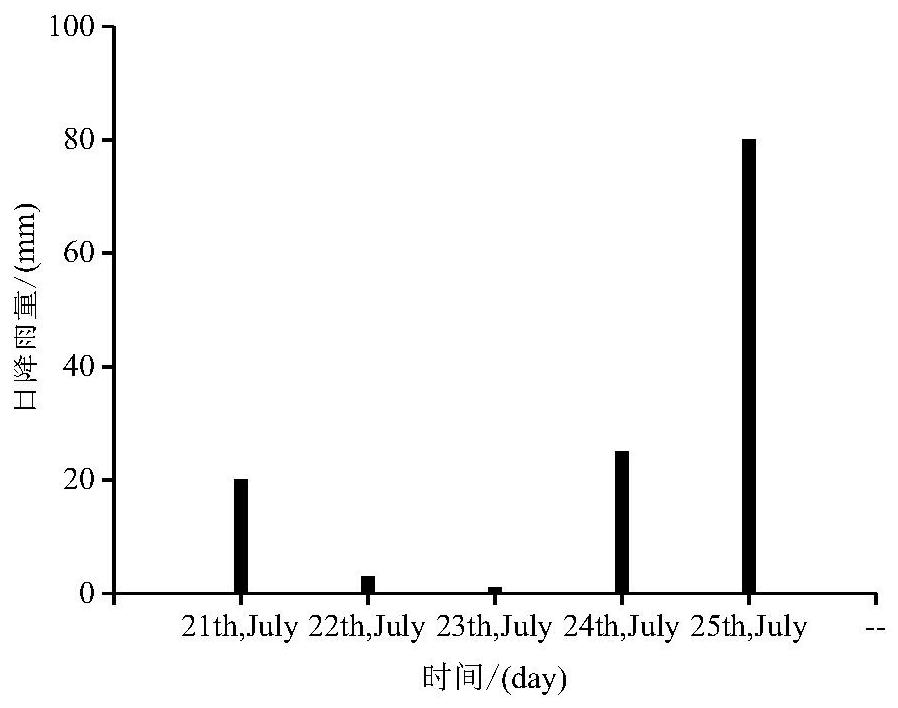 Debris flow solid matter starting critical depth and maximum burst total amount measuring and calculating method and debris flow scale forecasting method