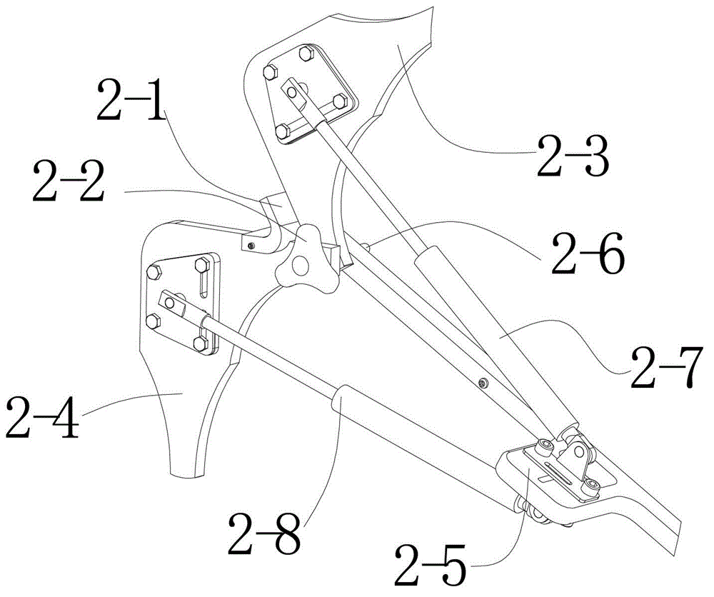 Image display system for surgical robot