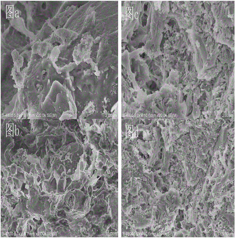 Attapulgite and biomass compound biological ceramsite and preparation method thereof