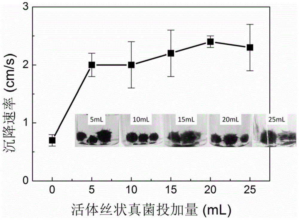 Method for treating copper-containing wastewater by forming granular sludge through microorganism sediment