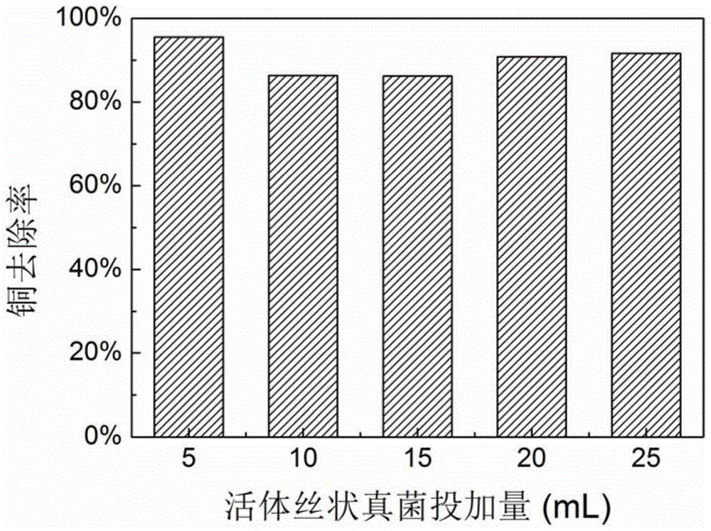 Method for treating copper-containing wastewater by forming granular sludge through microorganism sediment