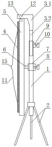 Projection screen support with stable use state and its use method