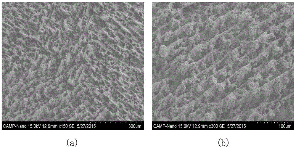 Directional solidification apparatus for preparation of porous ceramics based on ice template method and preparation method thereof