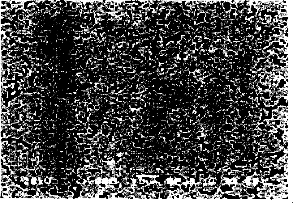 CoCrPt-based sputtering target and method for production thereof