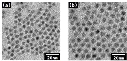 Preparation method of PbSe quantum dot near-infrared light-emitting diode