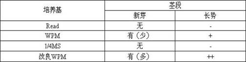 Tissue culture propagation and in vitro preservation method of a critically endangered plant Rhododendron grandiflora Guizhou