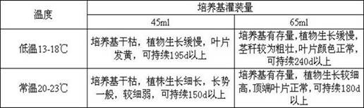 Tissue culture propagation and in vitro preservation method of a critically endangered plant Rhododendron grandiflora Guizhou