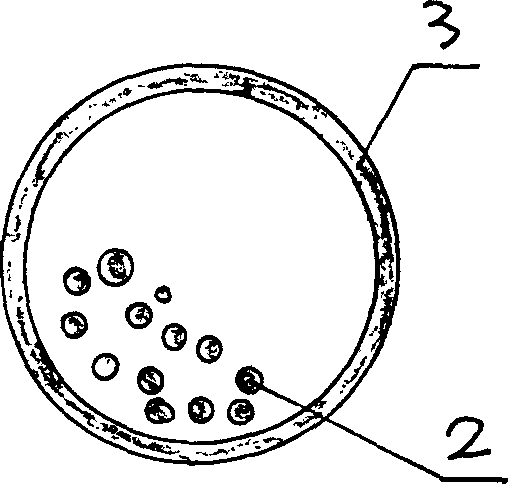 Artificial hair mammilla substition structure and its manufacturing method