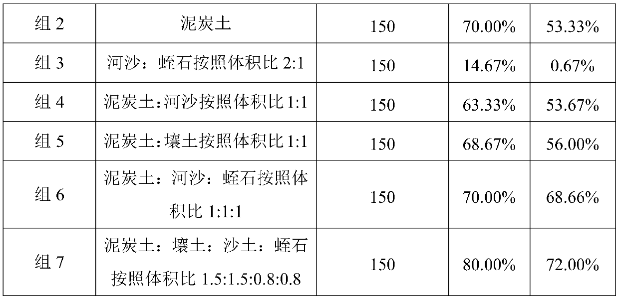 Cutting propagation method of Cinnamomum loureirii Nees and application of cutting propagation method