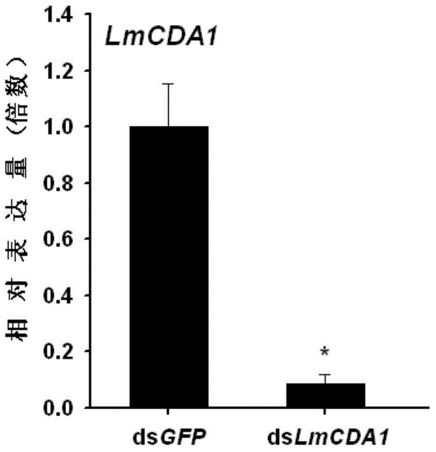 Insect chitin deacetylate enzyme genes 1 and application of insect chitin deacetylate enzyme genes 1 in pest control