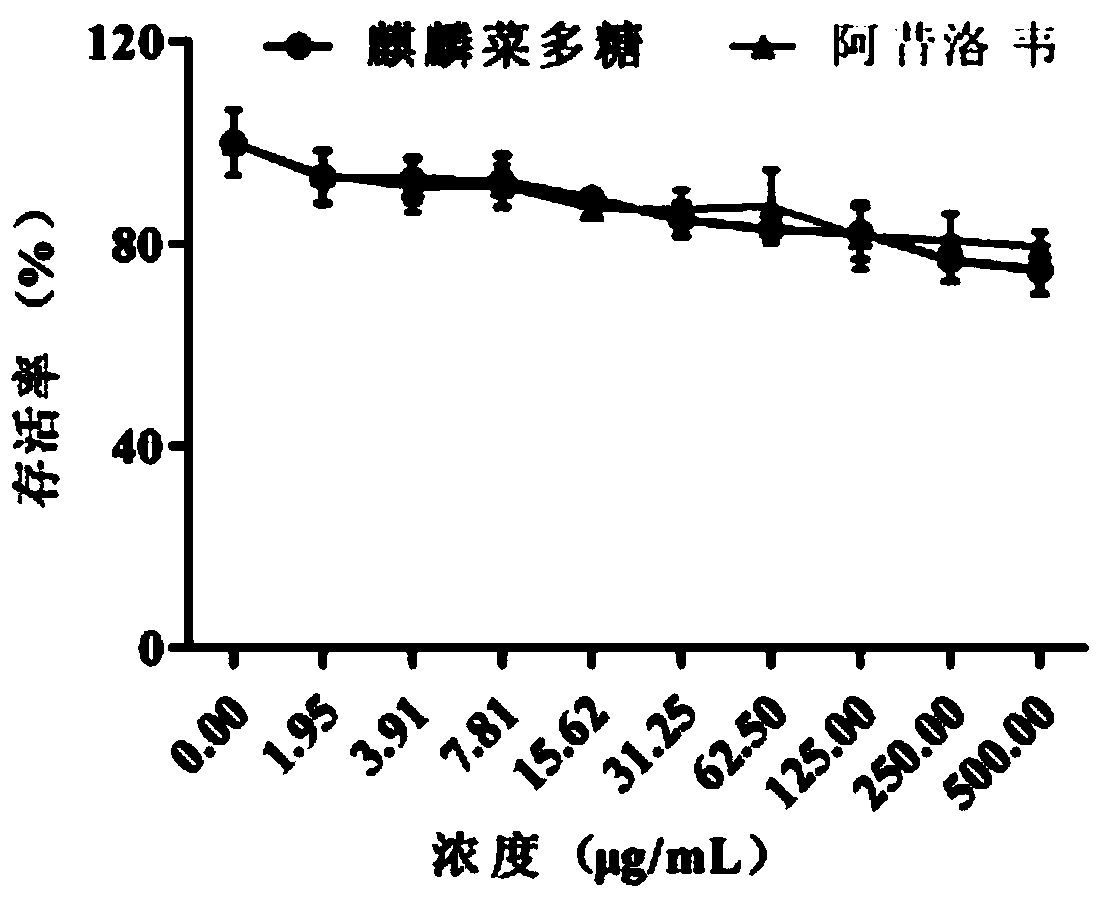 Application of Eucheuma gelatinae polysaccharide in preparing anti-herpes simplex virus medicament