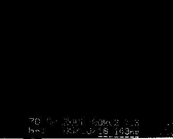 Recombinant protein HPV6L1 (Human Papilloma Virus 6 L1) and application thereof