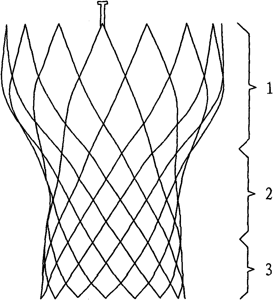 Valvular prosthetic replacement device with buffer action and stent