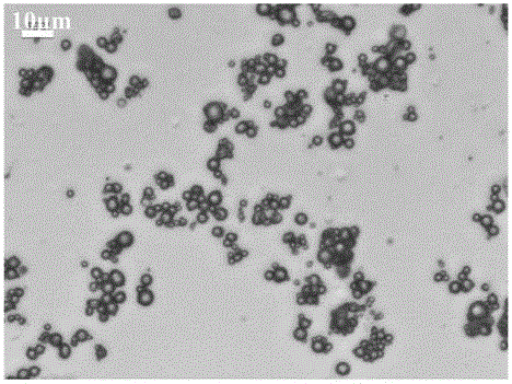 A kind of sodium alginate microcapsules used in microwave hyperthermia technology for tumors and its preparation method and application