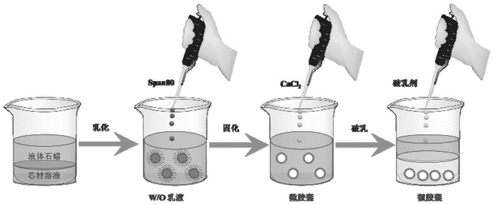 A kind of sodium alginate microcapsules used in microwave hyperthermia technology for tumors and its preparation method and application