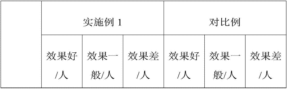 Camellia seed oil beewax composition, pasty fluid and preparation method thereof