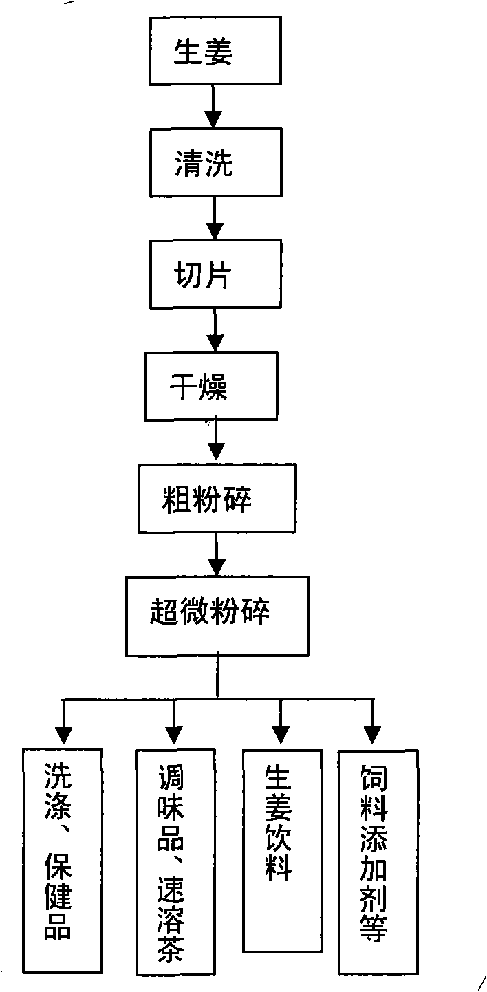 Ultramicro ginger powder and method for producing the same