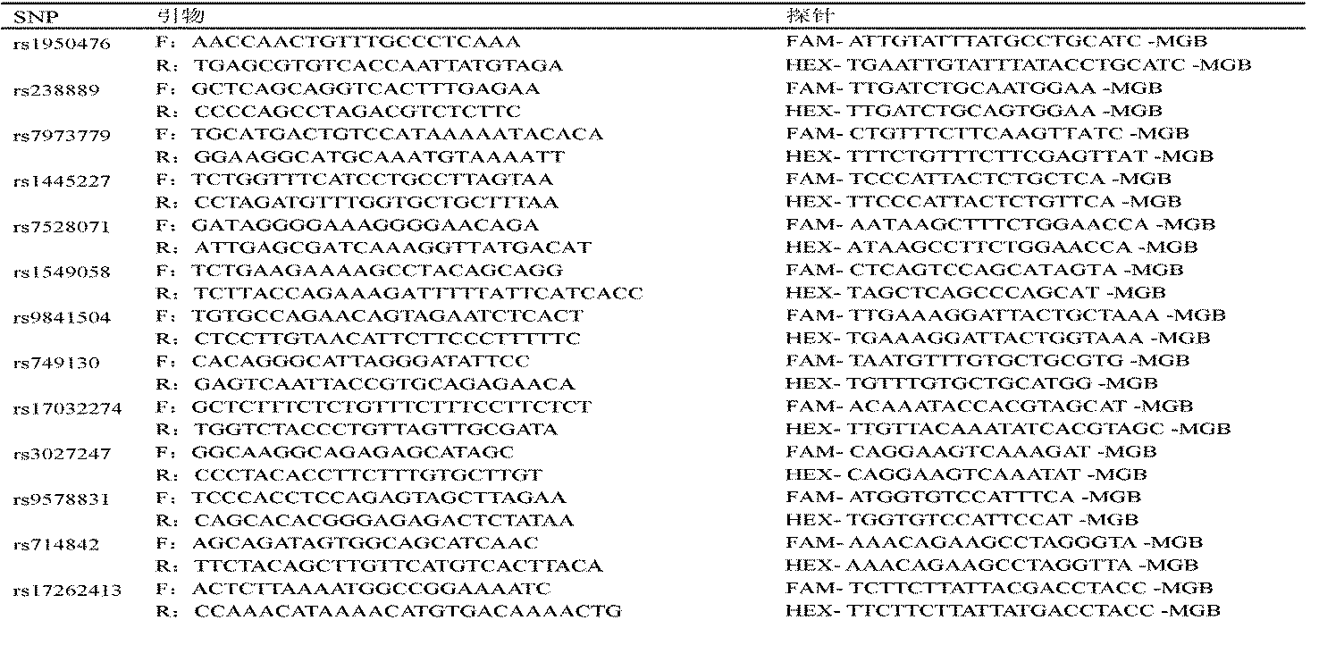 SNP (Single Nucleotide Polymorphism) marker correlated to assistant diagnosis of noncardia cancer and application thereof