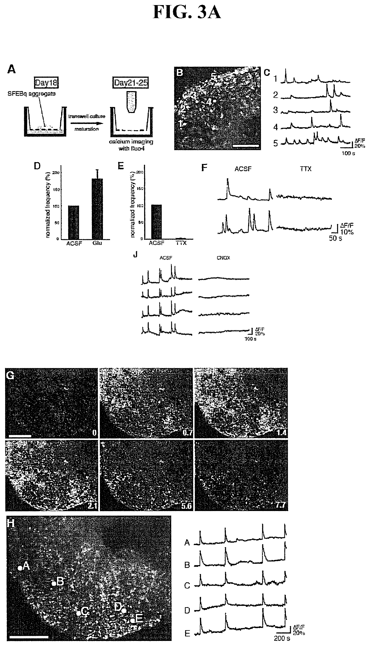 Method for culture of stem cell