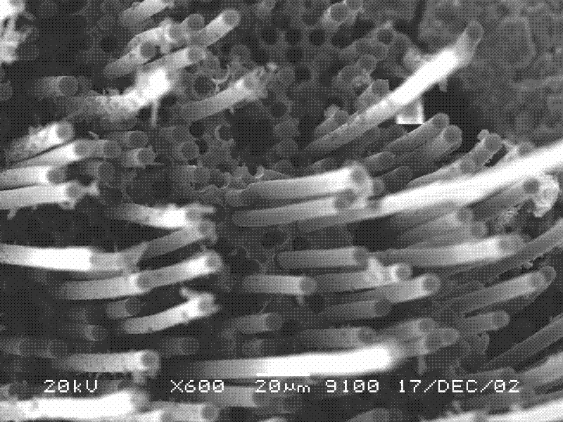 Method for preparing carbon-fiber-reinforced silicon carbide composite material