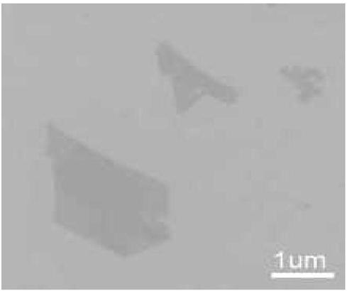 Two-dimensional nanosheet and preparation method and usage thereof