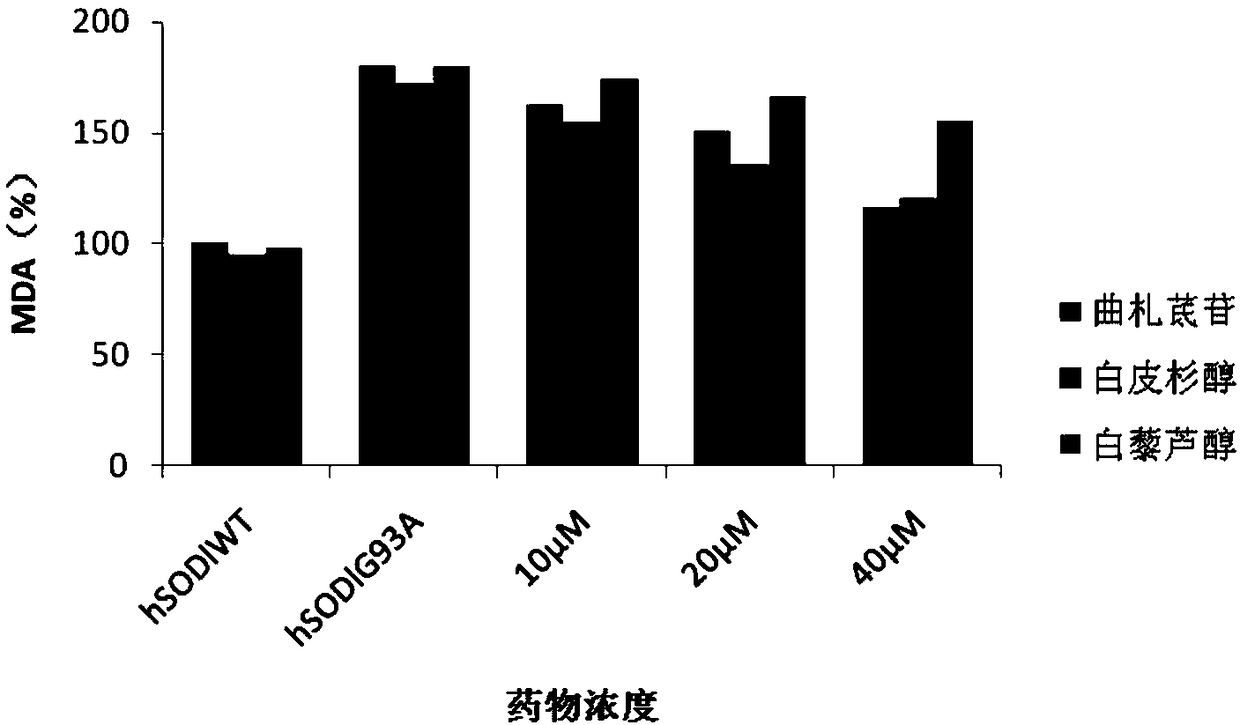 Applications of piceatannol 3-O'-glucoside or piceatannol 3-O'-glucoside derivatives