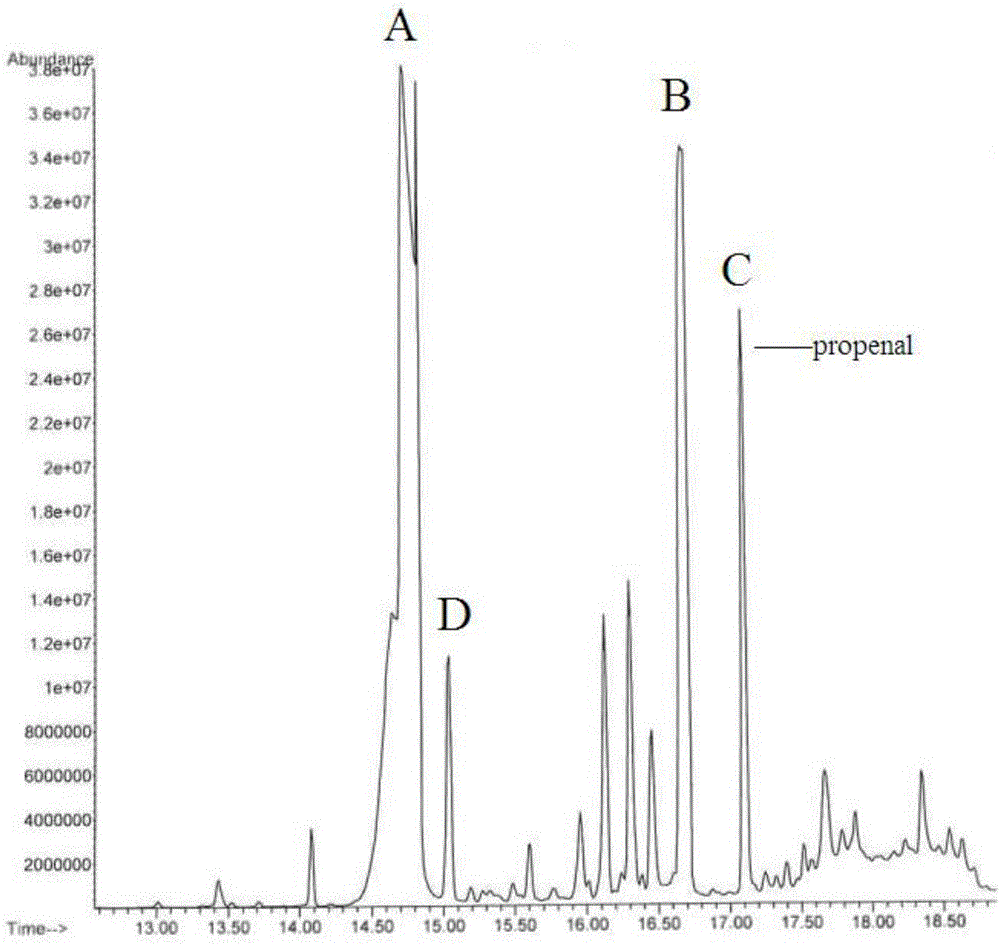 Method for preparing cinnamon extract, cinnamon extract and composition and application of cinnamon extract