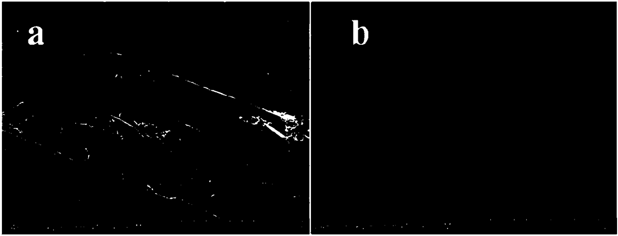 A method for pretreatment and separation of lignocellulosic biomass