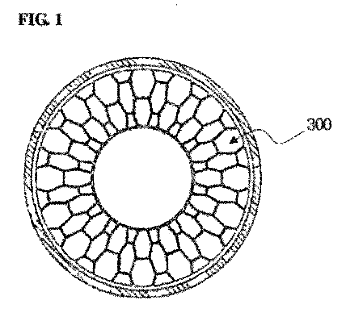 Airless tire