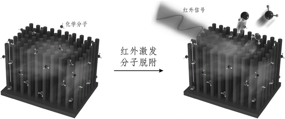 Method for achieving infrared detection by desorption phenomenon of infrared excitation molecules