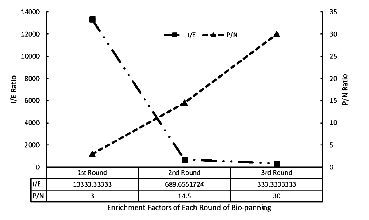 Application of single domain antibody for hepatitis a viruses