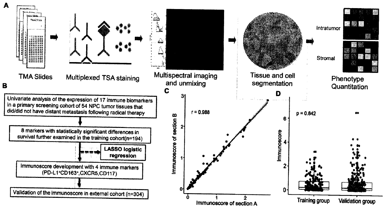 Immune score for predicting nasopharyngeal carcinoma metastasis and application thereof