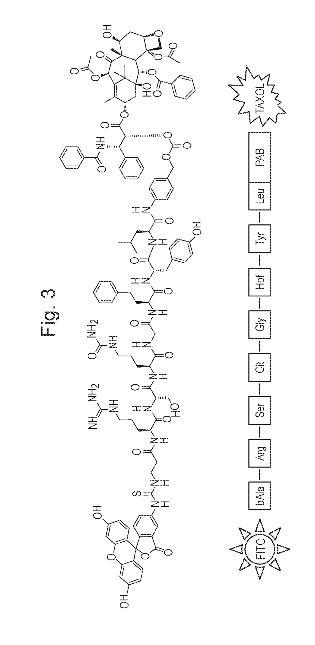 Mmp-sensitive taxane prodrug